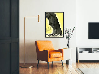 Vintage plakat Hormolaxine - Tarmrehabilitering og frihed for maven
