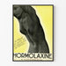 Vintage plakat Hormolaxine - Tarmrehabilitering og frihed for maven
