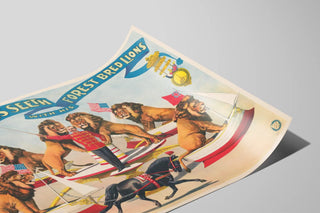 julius-seeth-with-his-forest-bred-lions