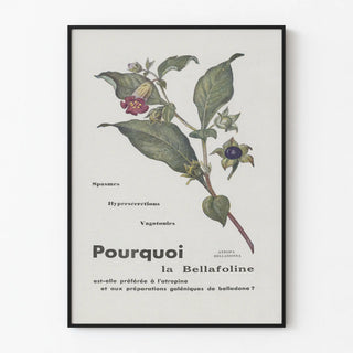 la-bellafoline