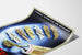 Vintage plakat for dermatologisk medicin Laccodermes