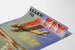 Vintage plakat af flyvningstræning Curtiss-Wright