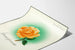 Dekorativ plakat Lebensfreude med orange rose og grøn halo Artem Legrand