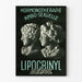 Vintage plakat Hormonbehandling Ambo-seksuel Lipocrinyl Derol