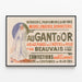 Plakat Vintage Sytilbehør Parfumeri Handsker Mode Hatte- og Bonnetforretning — indrammet kunstværk på væggen