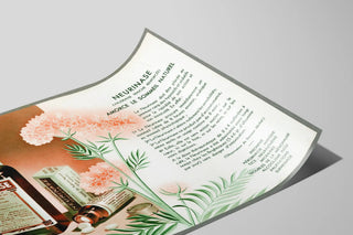 Plakat vintage Neurinase - Retro vægdekoration medicinsk reklame — visning af kunstværket