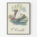 Vintage plakat Obesitet illustration kanosejlads