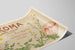 Vintage plakat OKOMA japansk roman illustreret — visning af kunstværket