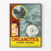 Vintage plakat Organotiol Svovl Naturlig vægdekoration videnskabelig