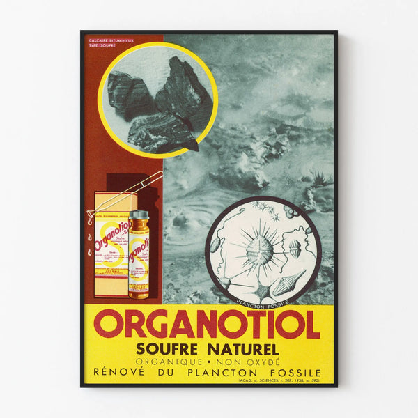 Vintage plakat Organotiol Svovl Naturlig vægdekoration videnskabelig