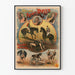 Vintage plakat Frères Rasso Moderne Gladiatorer
