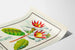 Vintage botanisk plakat med blomst Strophanthus gratus Ouabaïne Arnaud
