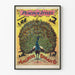 Vintage Påfugl Stilarker Buggy Co. Plakat