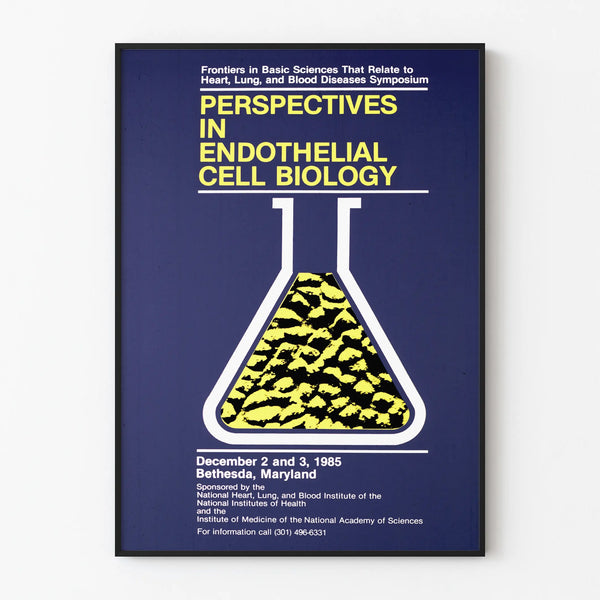 perspectives-in-endothelial-cell-biology