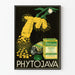 Vintage reklameplakat for Phytojava naturlægemidler