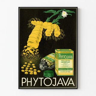 phytojava-2