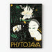 Dekorativ plakat PhytoJava vintage botanisk og kvindeportræt