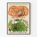 Vintage plakat til vægdekoration med vintergrøntsager til dyrkning