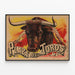 Plakat vintage Plaza de Toros dekorativ — indrammet kunstværk på væggen