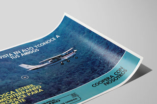 pon-tu-vista-en-alto-yconoce-a-tus-amigos-programa-moscamed-guatemala-mexico-estados-unidos