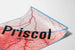 Vintage plakat Priscol - Retro medicinsk vægdekoration