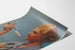 Vintage reklameplakat med macaroni Rivoire & Carret