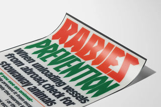 rabies-prevention