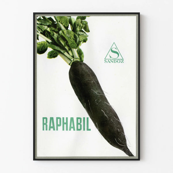 Vintage plakat af sort radise Raphabil Sandoz til vægdekoration