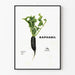 Dekorativ plakat Raphabil - Sort radise og grønne blade
