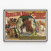 Plakat vintage Ringling Bros Schuman's German Horse Circus 1909 — indrammet kunstværk på væggen