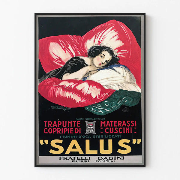 Vintage vægdekoration plakat Salus pude og madras