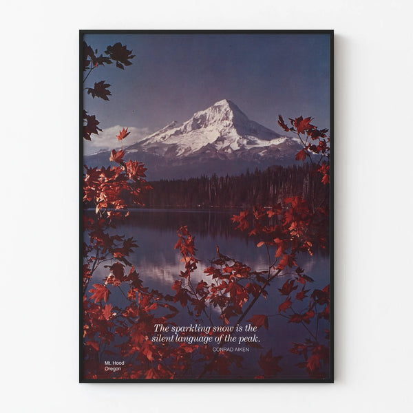 scenically-yours-the-sparkling-snow-is-the-silent-language-of-the-peak-mt-hood-oregon