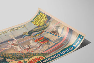 sells-brothers-enormous-united-shows-the-wonderful-snow-white-zebu-and-riding-peacock