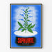 Vintage dekorativ plakat Siphuryl Diurèse