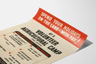 spend-your-holidays-on-the-land-with-pay-at-a-volunteer-agricultural-camp