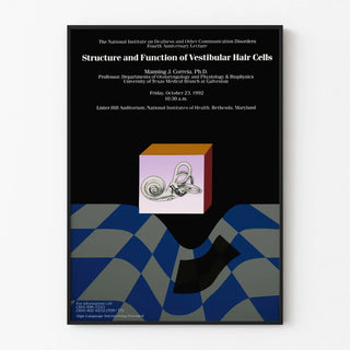 structure-and-function-of-vestibular-hair-cells