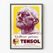 Vintage reklameplakat Tensol mod tidlig aldring