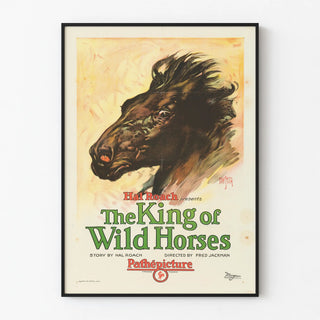 the-king-of-wild-horses