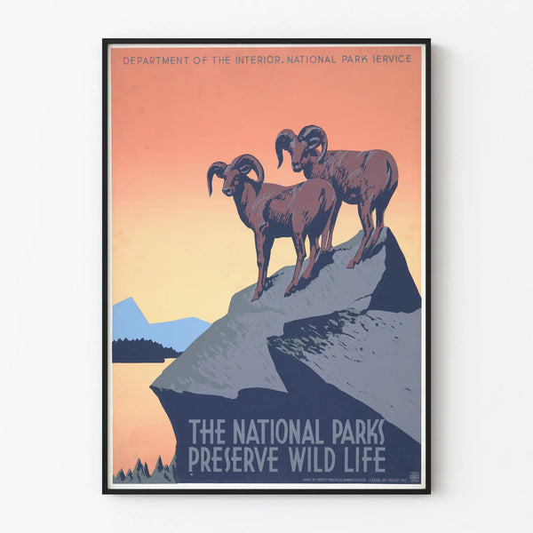 the-national-parks-preserve-wild-life