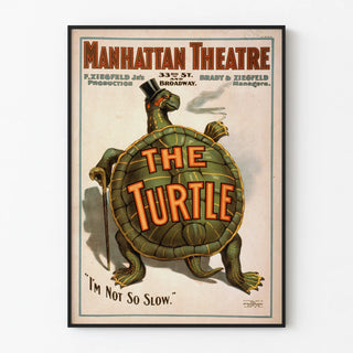 the-turtle