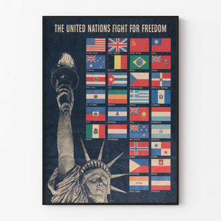 the-united-nations-fight-for-freedom