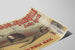 Plakat Vintage Théâtre et Musée de la Baleine de Villerville — visning af kunstværket