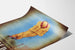 Vintage reklameplakat UVÉSTÉROL vægdekoration retro