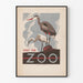 Vintage plakat besøg zoo med hejrer