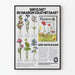 Vintage botanisk plakat Plantenriget - Naturlig vægdekoration med natur og vilde planter