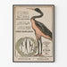 Vintage plakat for polsk kunstudstilling Wystawa Wiosenna 1919