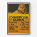 Vintage plakat af løve fra Zoologischer Garten Berlin - Retro vægdekoration